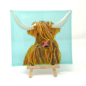 Highland Cow